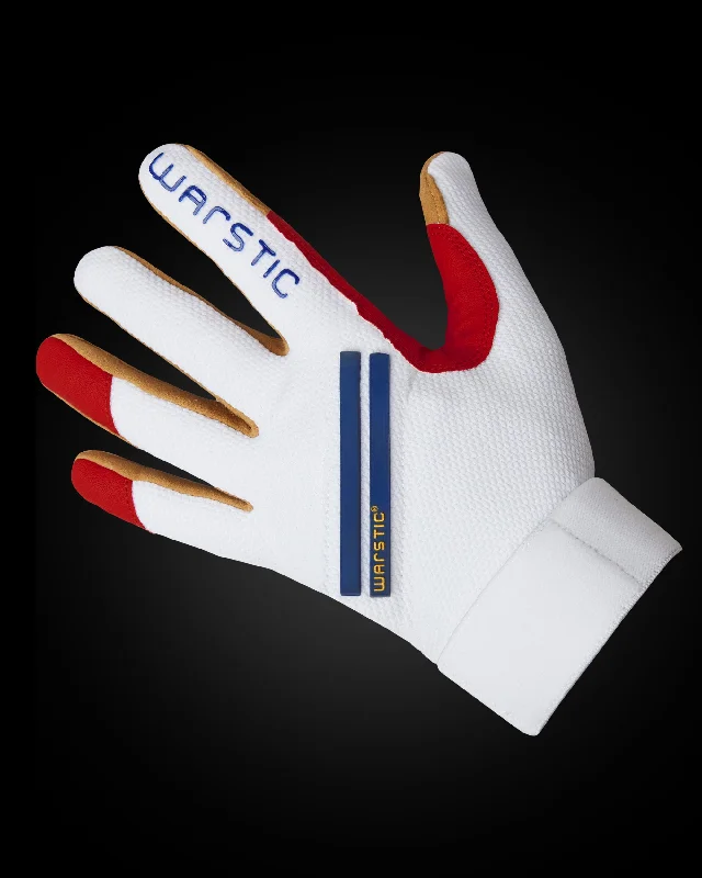 deployment gloves -  WORKMAN3 BATTING GLOVES "USA"