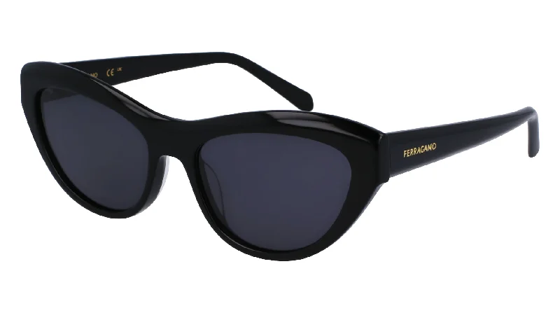 sunglasses for winter basins -  Ferragamo SF1103S