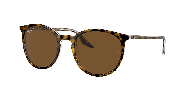 sunglasses for winter spins -  Ray-Ban RB2204